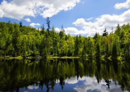 Lichteck - Helle Ferien Appartement Breitenberg (Lower Bavaria)
