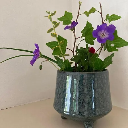 Lichteck - Helle Ferien דירה ברייטנברג