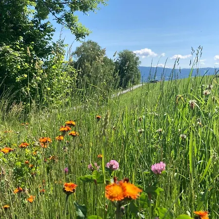 Lichteck - Helle Ferien * Breitenberg (Lower Bavaria)