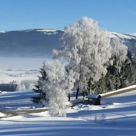 Lichteck - Helle Ferien Breitenberg (Lower Bavaria)