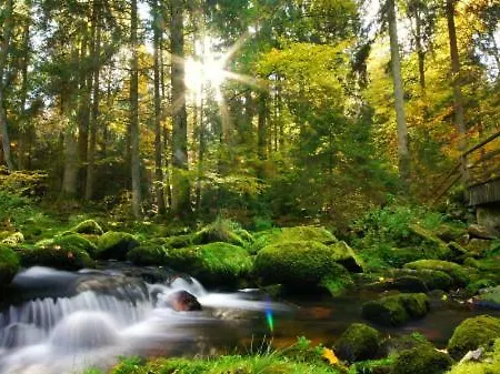 شقة Lichteck - Helle Ferien Breitenberg (Lower Bavaria)