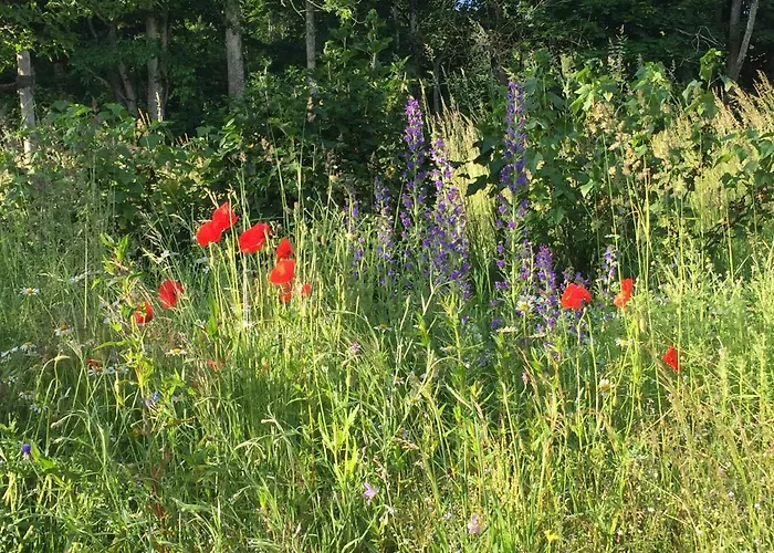 Lichteck - Helle Ferien