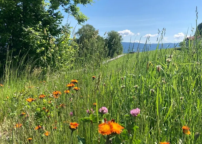 Lichteck - Helle Ferien * Breitenberg (Lower Bavaria)