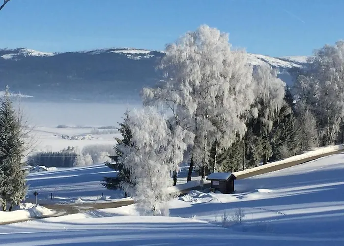 Lichteck - Helle Ferien Breitenberg (Lower Bavaria)