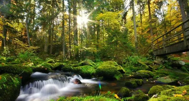 Apartament Lichteck - Helle Ferien Breitenberg (Lower Bavaria)